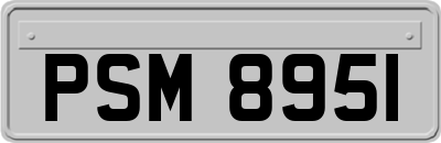 PSM8951