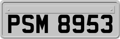 PSM8953