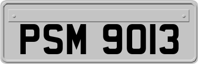 PSM9013