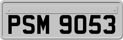 PSM9053