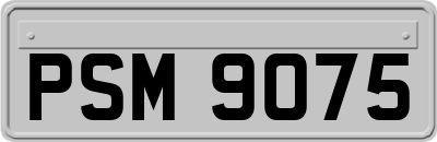 PSM9075