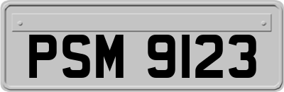 PSM9123