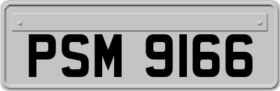 PSM9166