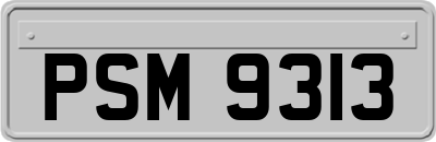 PSM9313