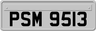 PSM9513