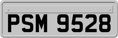 PSM9528