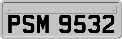 PSM9532