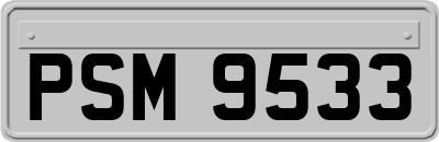 PSM9533