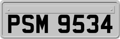 PSM9534