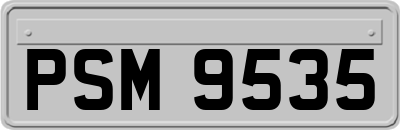 PSM9535