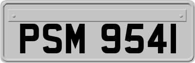 PSM9541