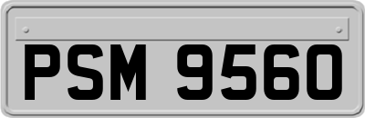 PSM9560