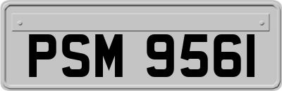PSM9561
