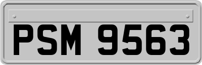 PSM9563