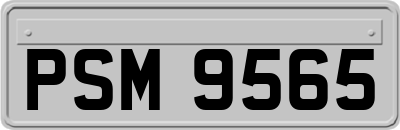 PSM9565