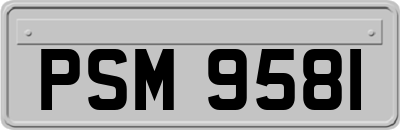 PSM9581