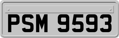 PSM9593
