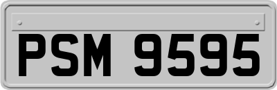 PSM9595