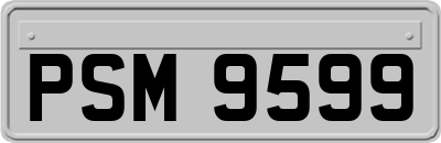 PSM9599