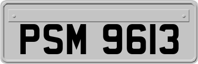 PSM9613