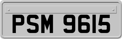 PSM9615