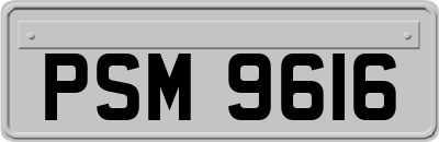 PSM9616