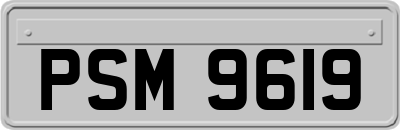 PSM9619