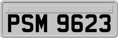 PSM9623