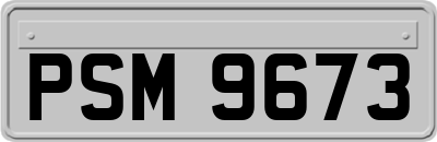 PSM9673