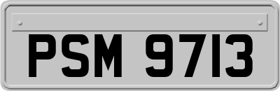 PSM9713