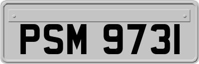 PSM9731