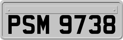 PSM9738
