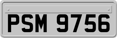 PSM9756