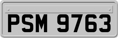 PSM9763