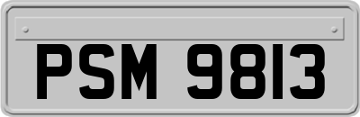 PSM9813