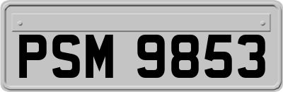 PSM9853