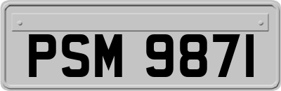 PSM9871