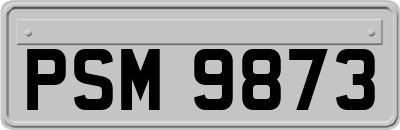 PSM9873
