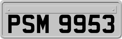PSM9953