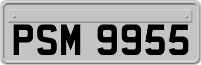 PSM9955