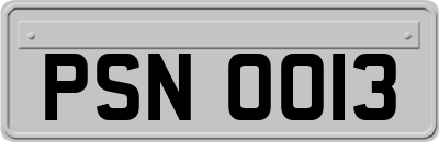 PSN0013