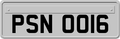 PSN0016