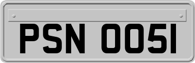 PSN0051