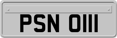 PSN0111
