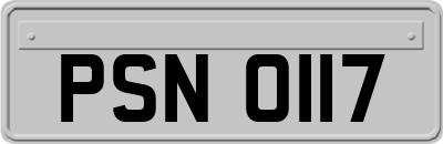 PSN0117