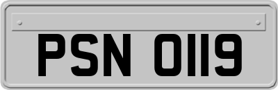 PSN0119