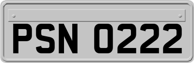 PSN0222