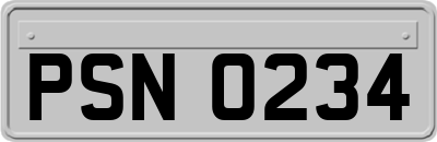 PSN0234