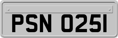 PSN0251