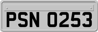 PSN0253